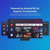 Xiaomi Mi Smart TV Box S 4K HDR Android TV Streaming Media Player and Google Assistant smart TV MiBox S - EcoJoy