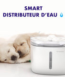 SMART distributeur d'eau pour animaux de compagnie chats chien  1.9L fontaine à boire - EcoJoy