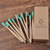 Eco brosse à dent en bamboo - EcoJoy